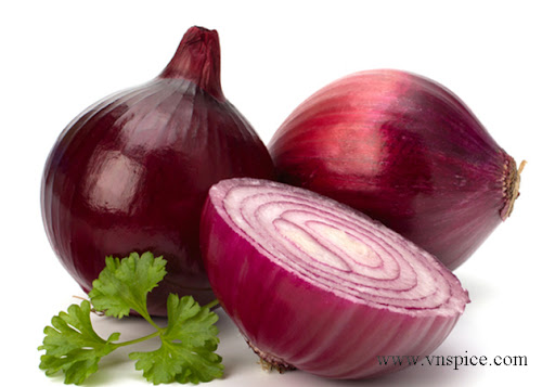 Onion